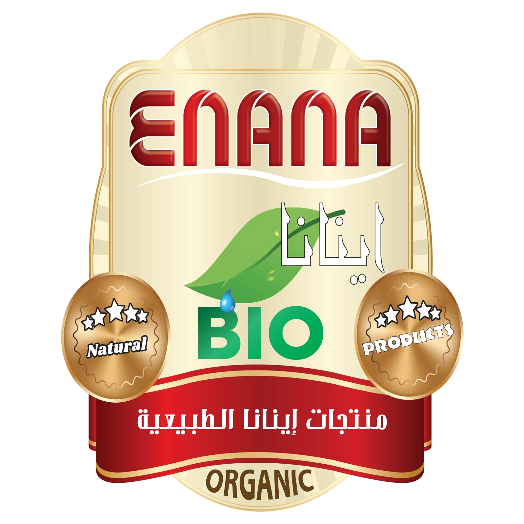 ENANA logo